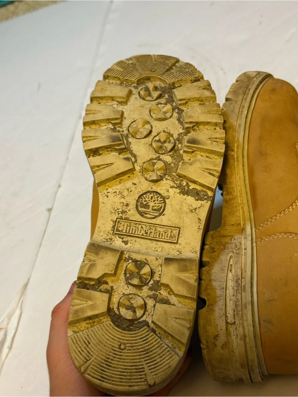 Timberland Wheat/Gold Nubuck Lace-Up Shoes